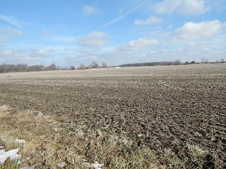 Property photo 14 - LAND AUCTION, 211+/- Acres offered in 3 Tracts